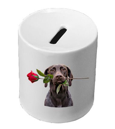 קופת חיסכון קוטר 8 ס"מ ,גובה 9 ס"מ